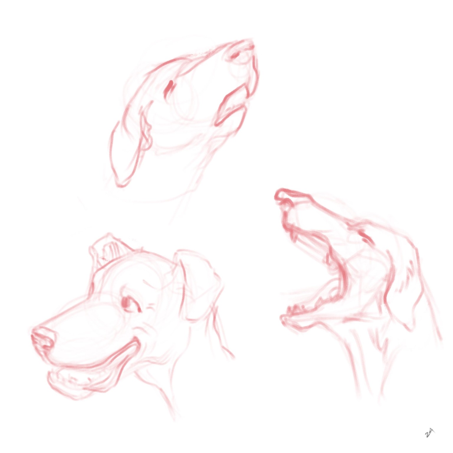 DOGS! - image 4 - student project