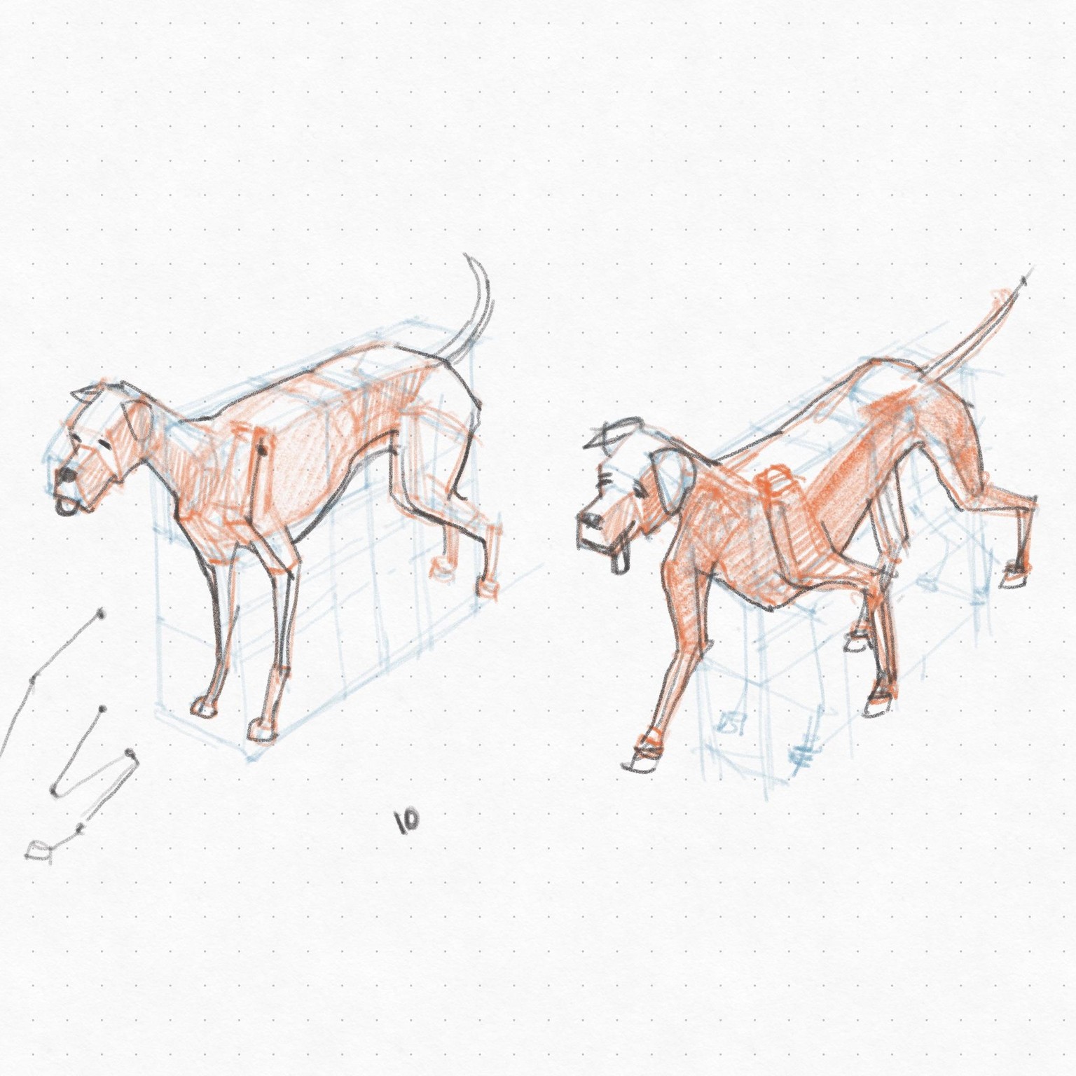 DOGS! - image 12 - student project