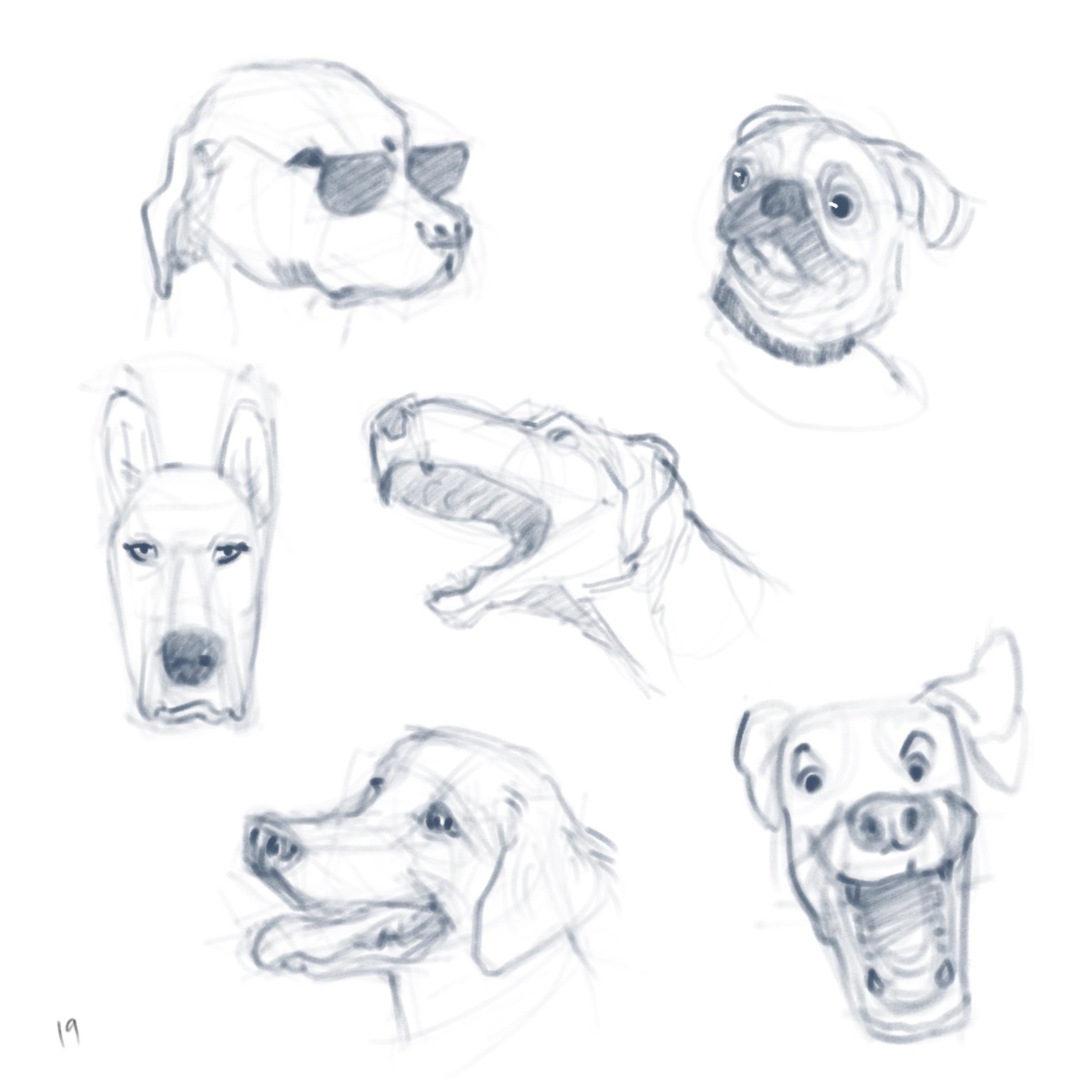 DOGS! - image 5 - student project