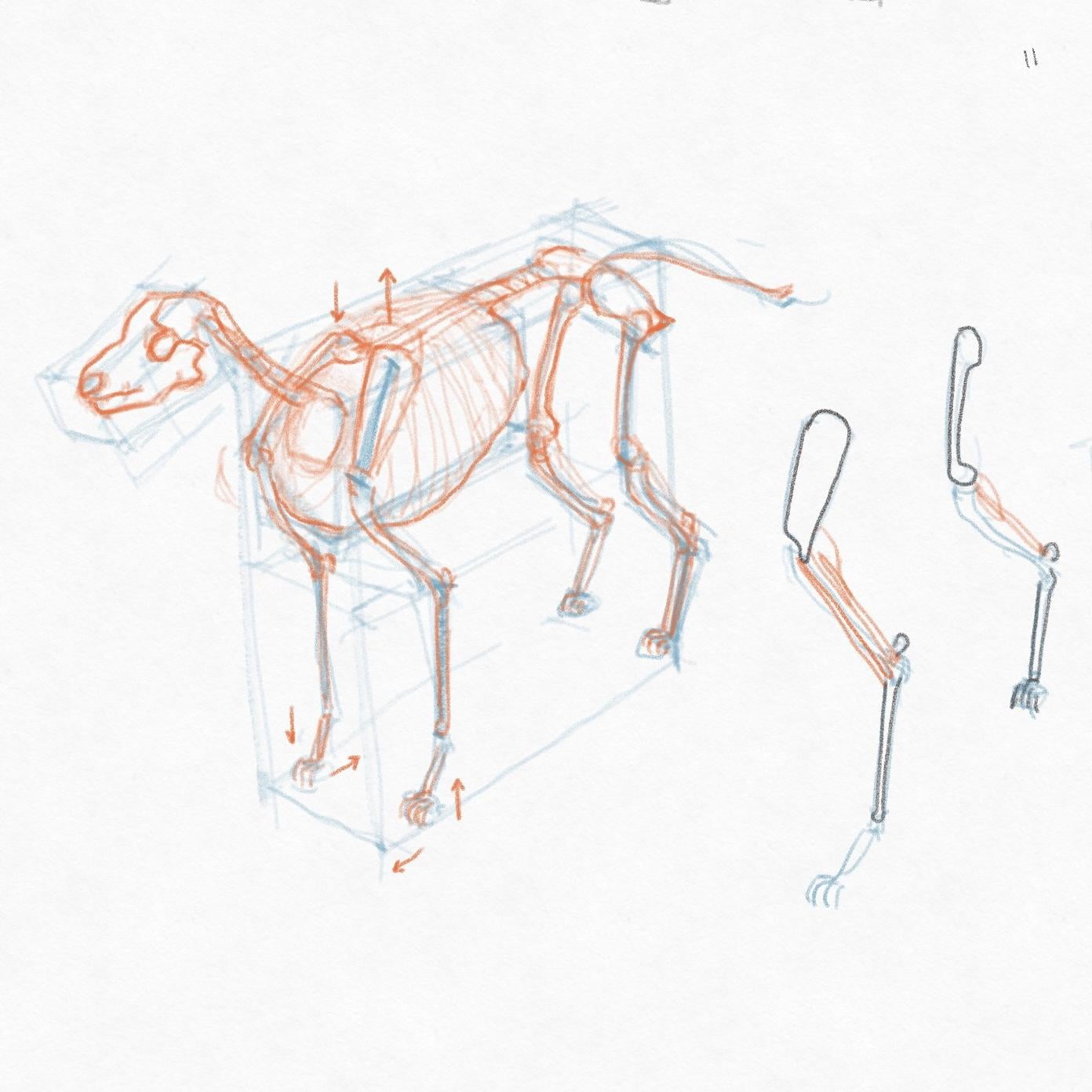DOGS! - image 11 - student project