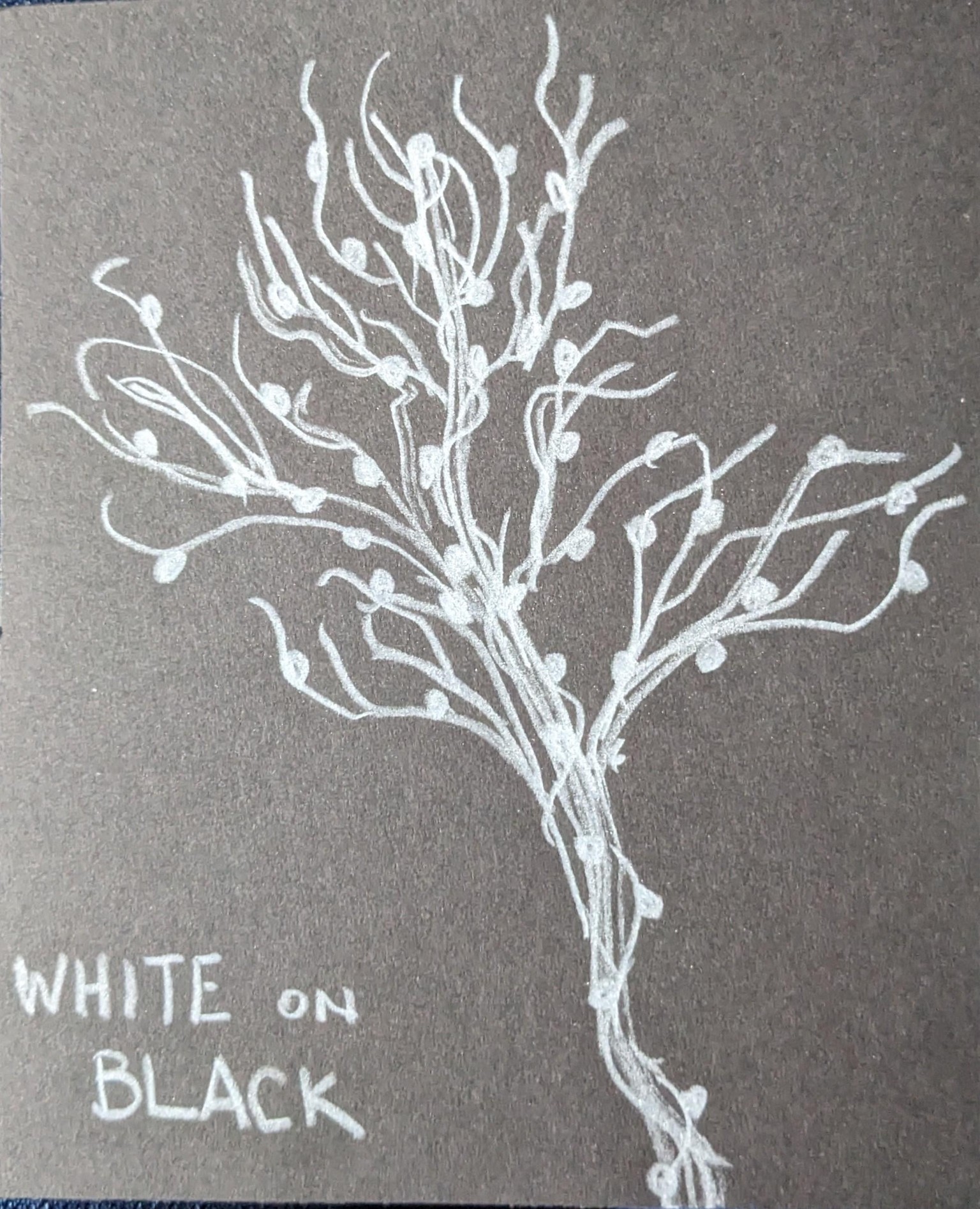 Daily Practice - image 5 - student project