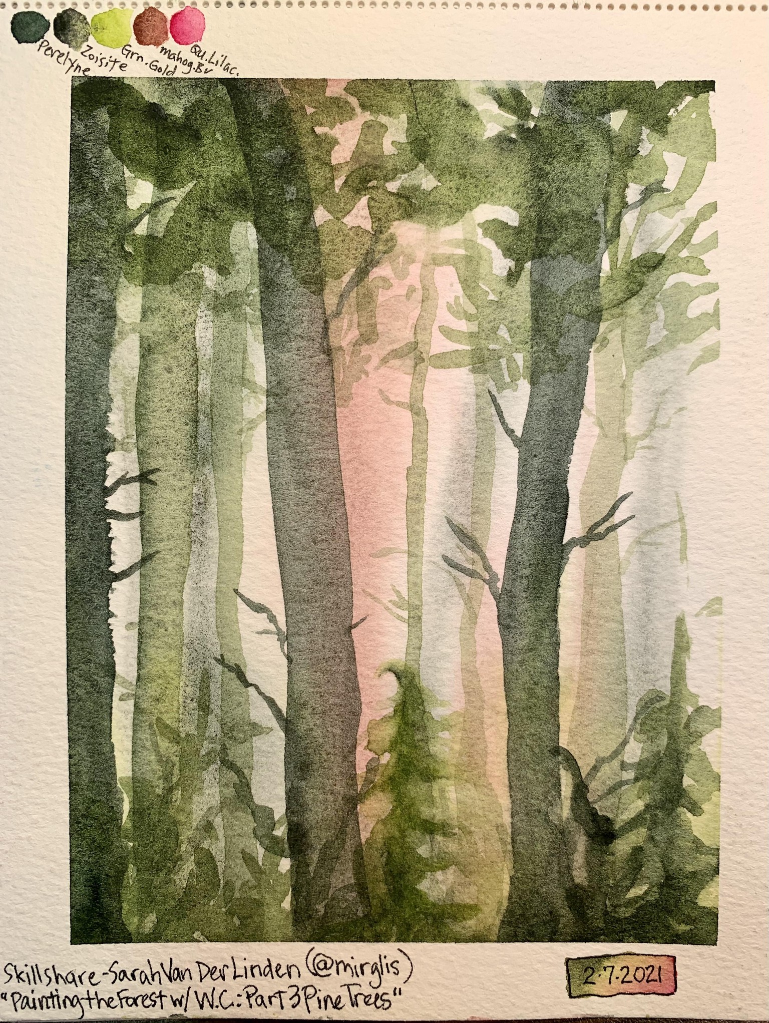Painting the forest - image 1 - student project