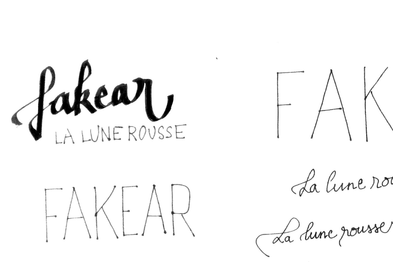 FAKEAR - La lune rousse - image 3 - student project