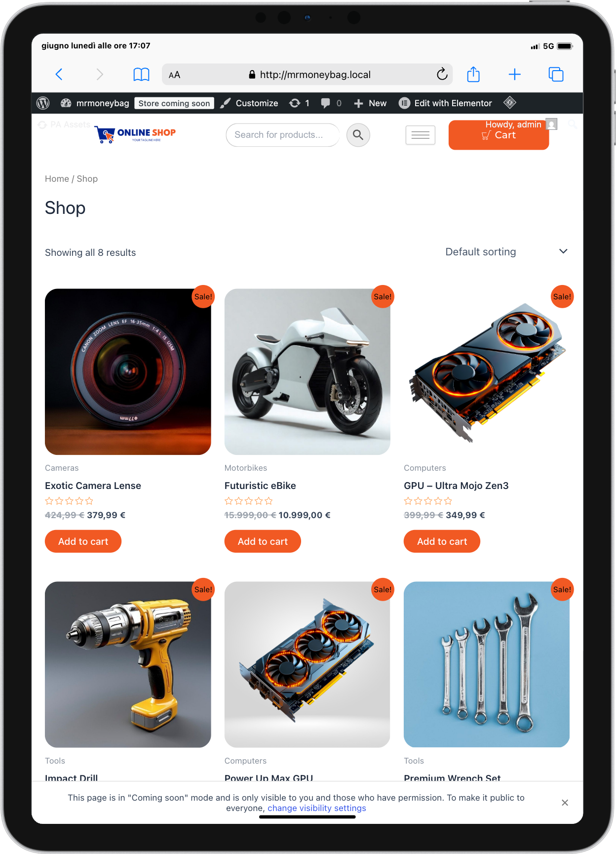 Build a Production-Ready Online Shop with Elementor & WooCommerce - image 1 - student project