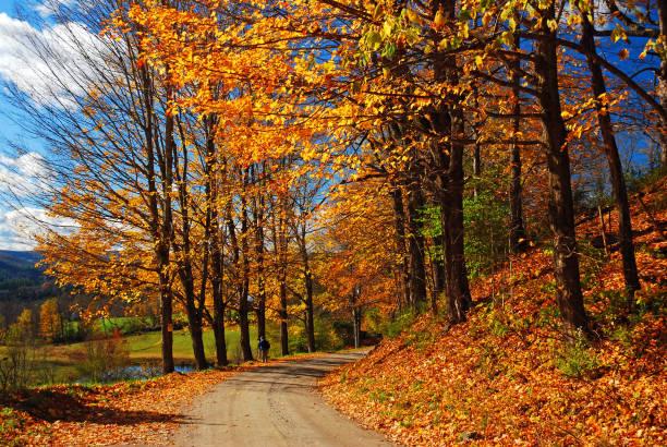 Country Road - image 1 - student project