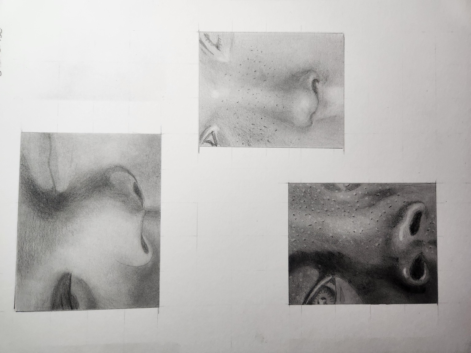 The nose knows - image 1 - student project