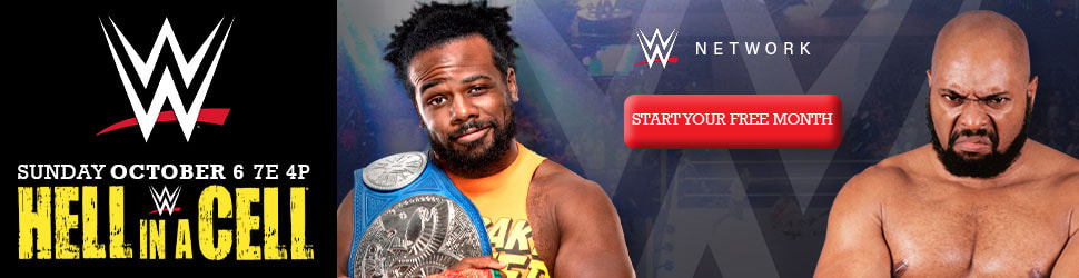 WWE Web Banners - image 2 - student project