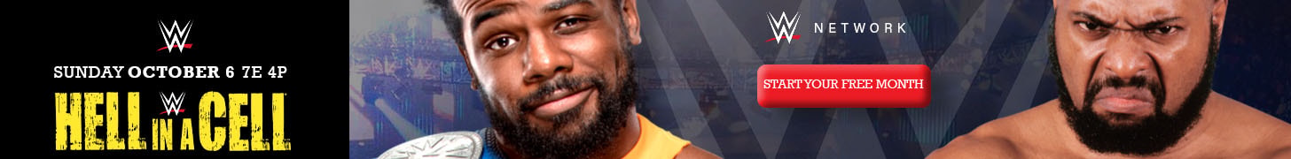 WWE Web Banners - image 1 - student project