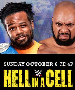 WWE Web Banners - image 3 - student project