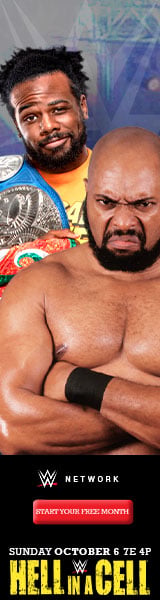 WWE Web Banners - image 4 - student project