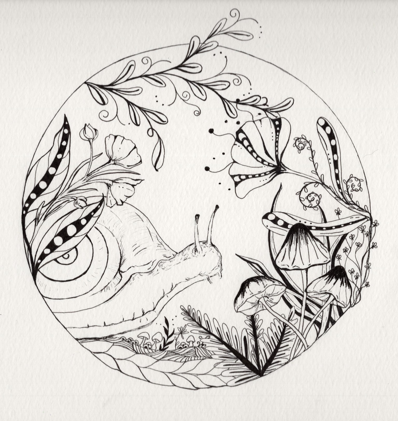 Snail Garden - image 1 - student project