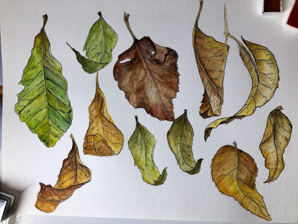 Leaves - image 1 - student project