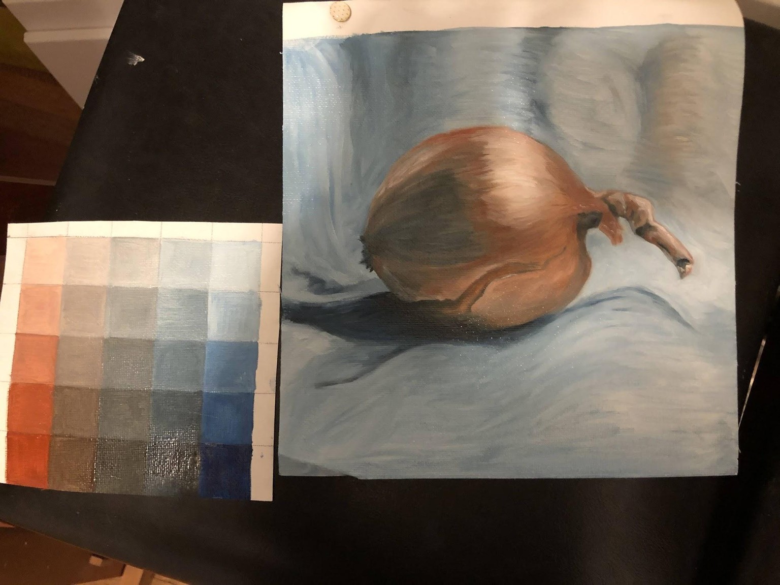 Onion - image 1 - student project