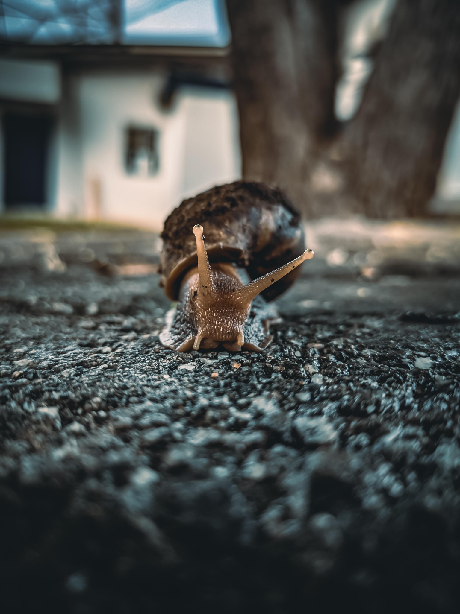 Redmigraphy - image 3 - student project