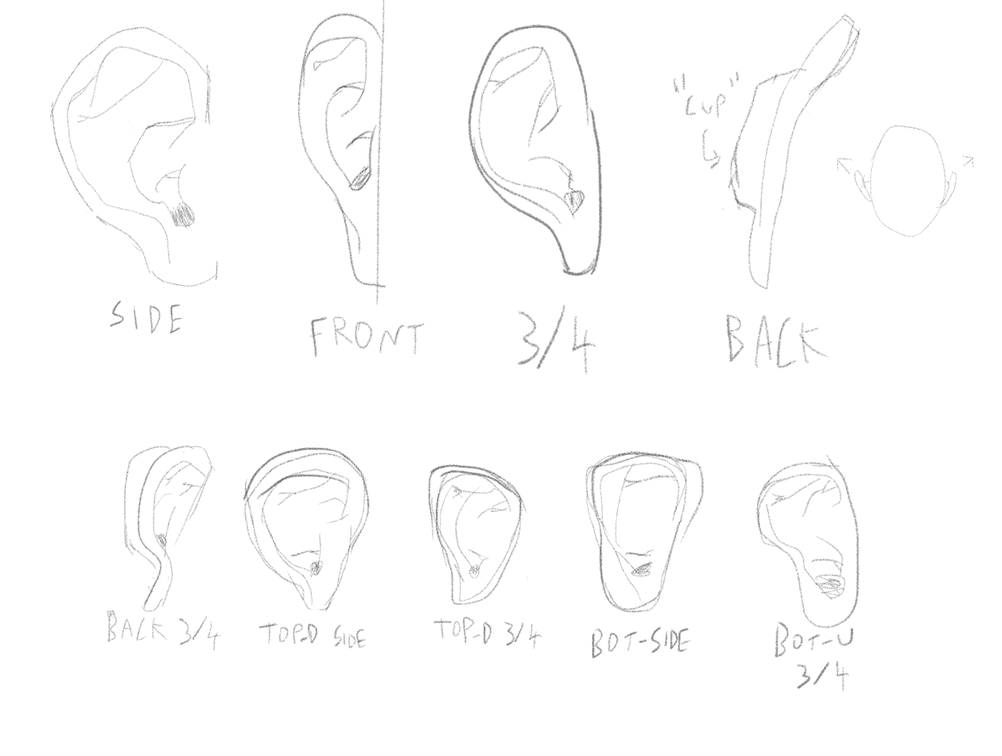 Studying Ears - image 1 - student project