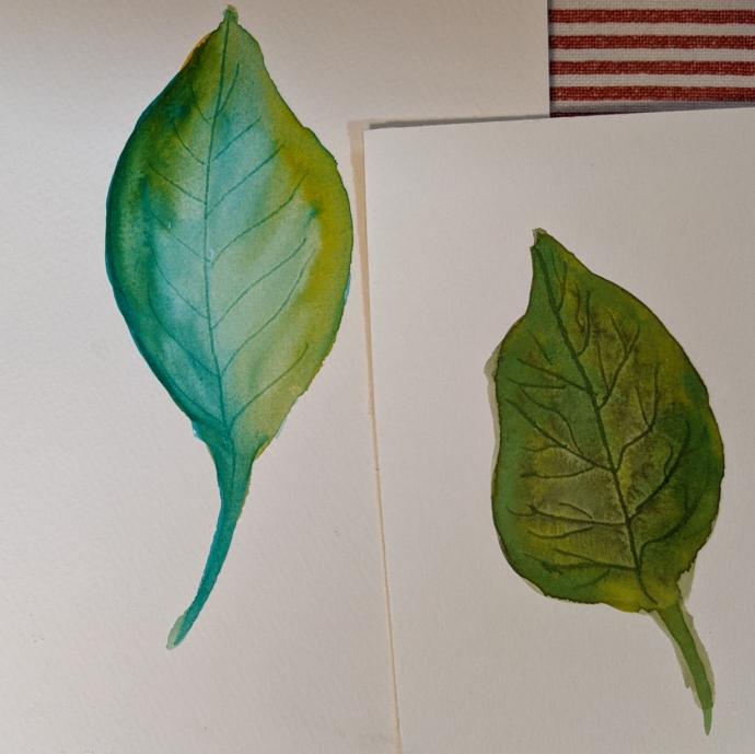 Understanding Watercolors course - Martin Thompson - image 5 - student project