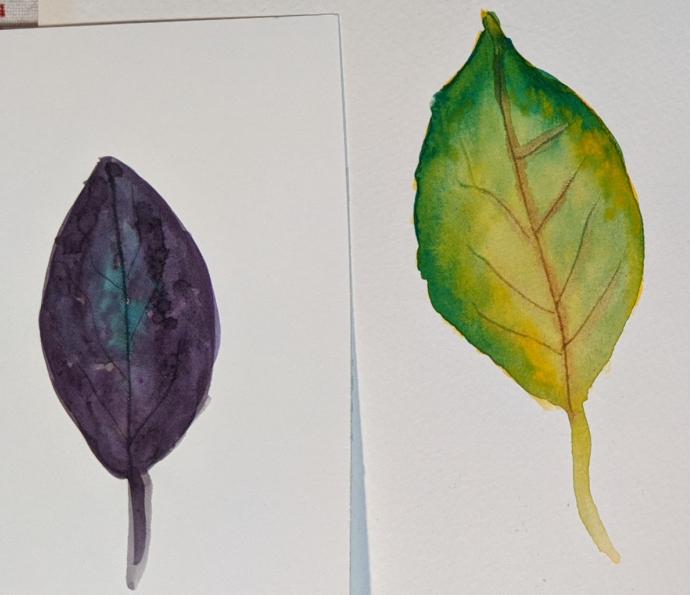 Understanding Watercolors course - Martin Thompson - image 4 - student project