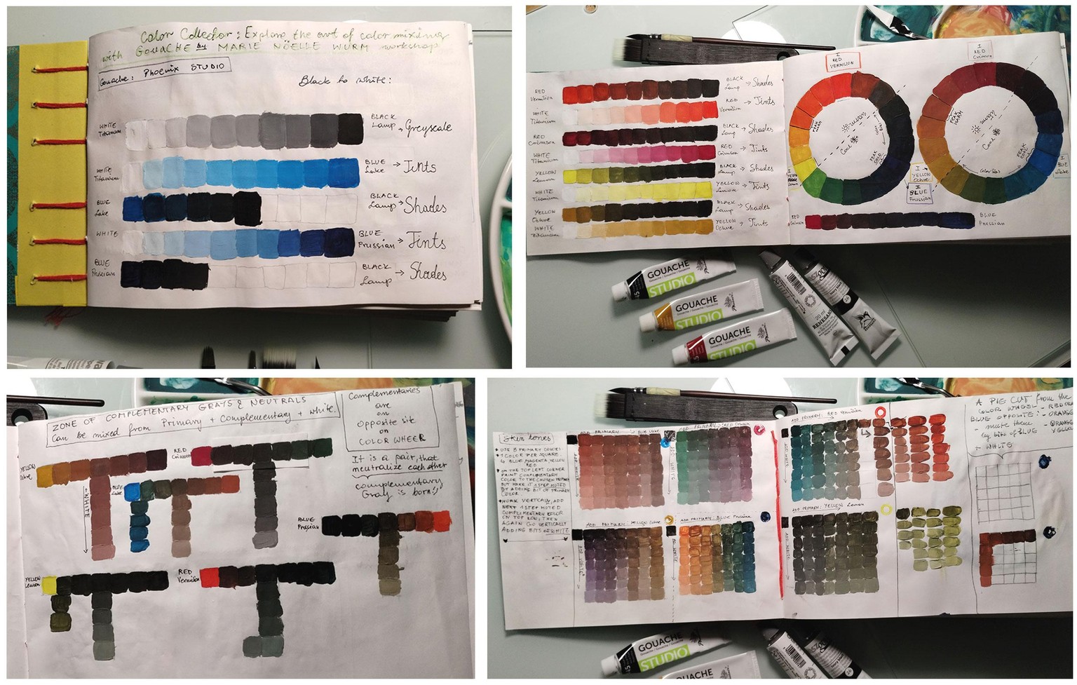 Color Collector - image 1 - student project