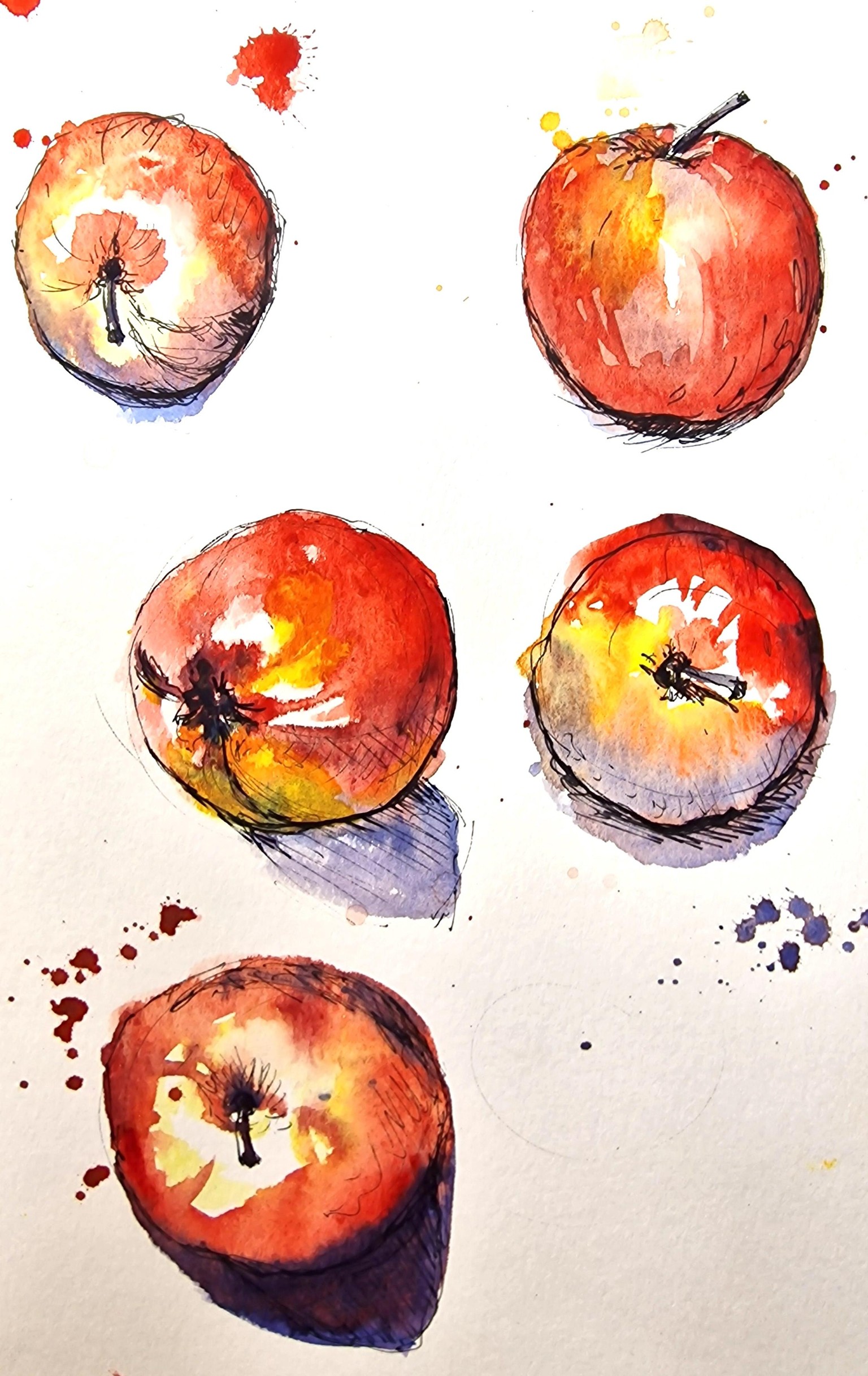 Sketching Fruits and Veggies using Watercolour and Pen - image 5 - student project