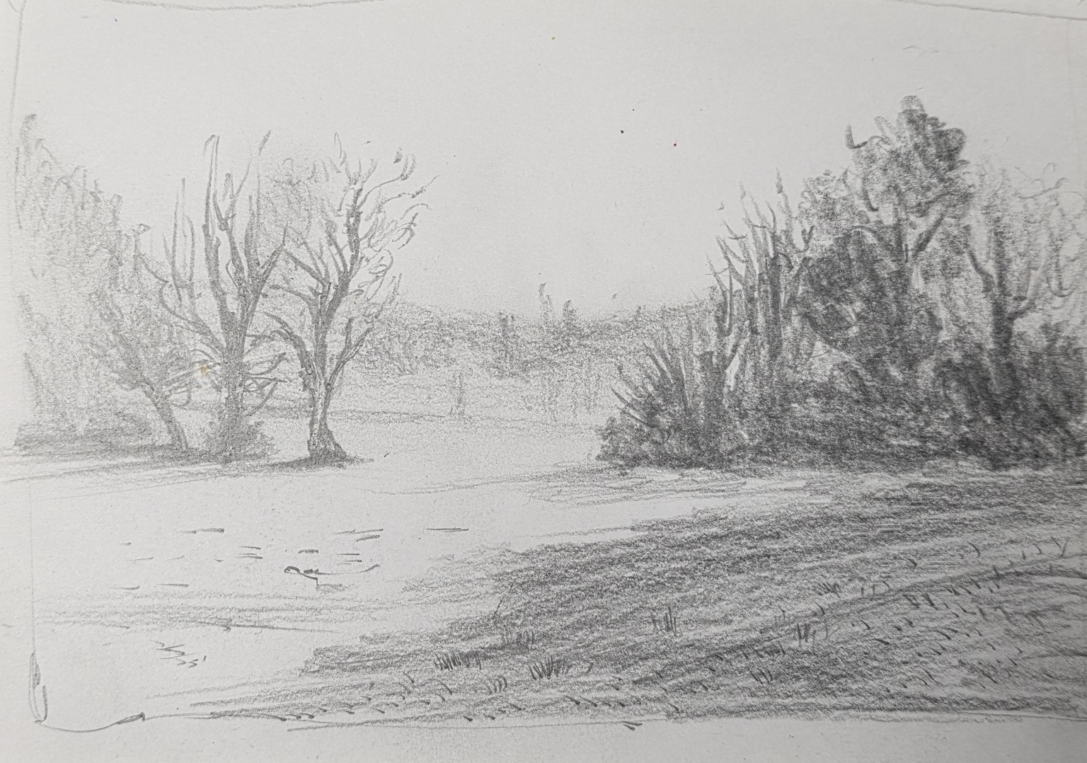 10 Days of Landscapes in Pencil - image 1 - student project