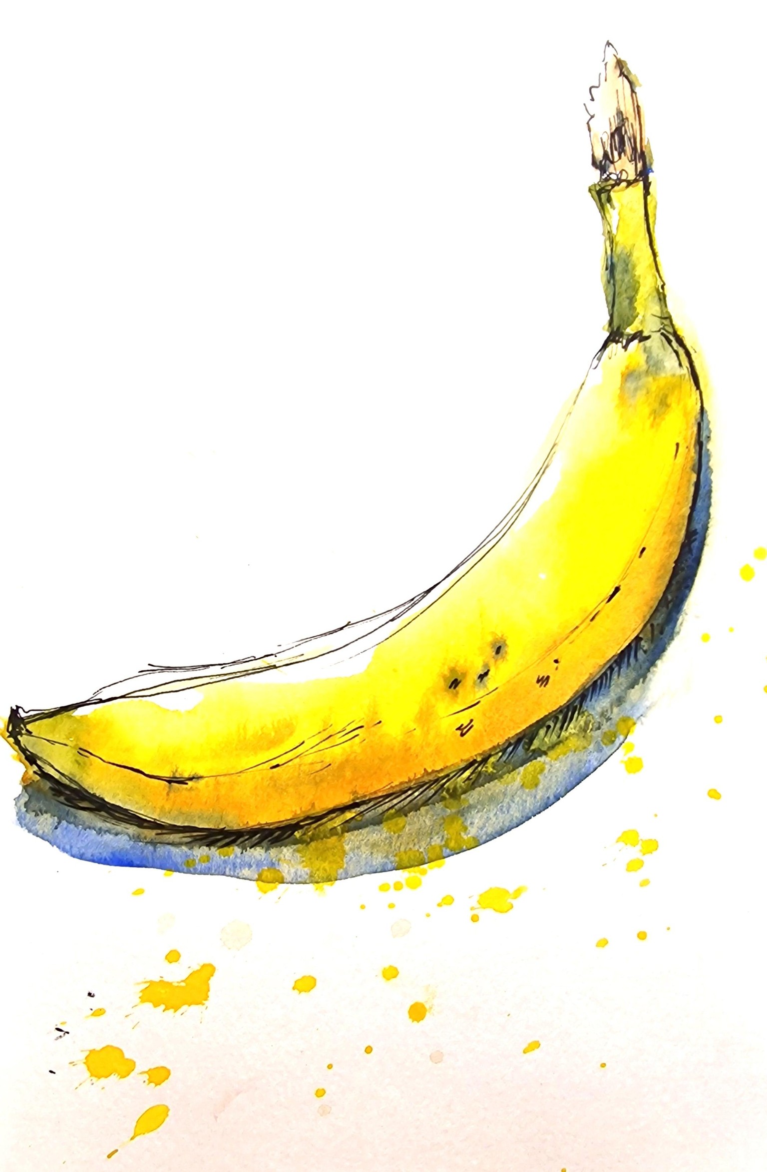 Sketching Fruits and Veggies using Watercolour and Pen - image 4 - student project