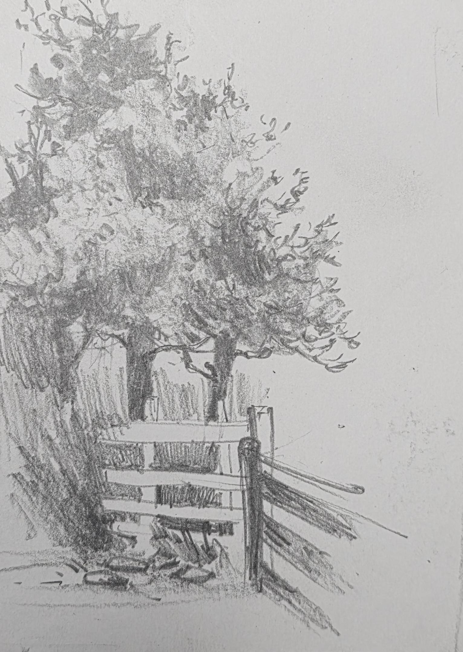 10 Days of Landscapes in Pencil - image 9 - student project