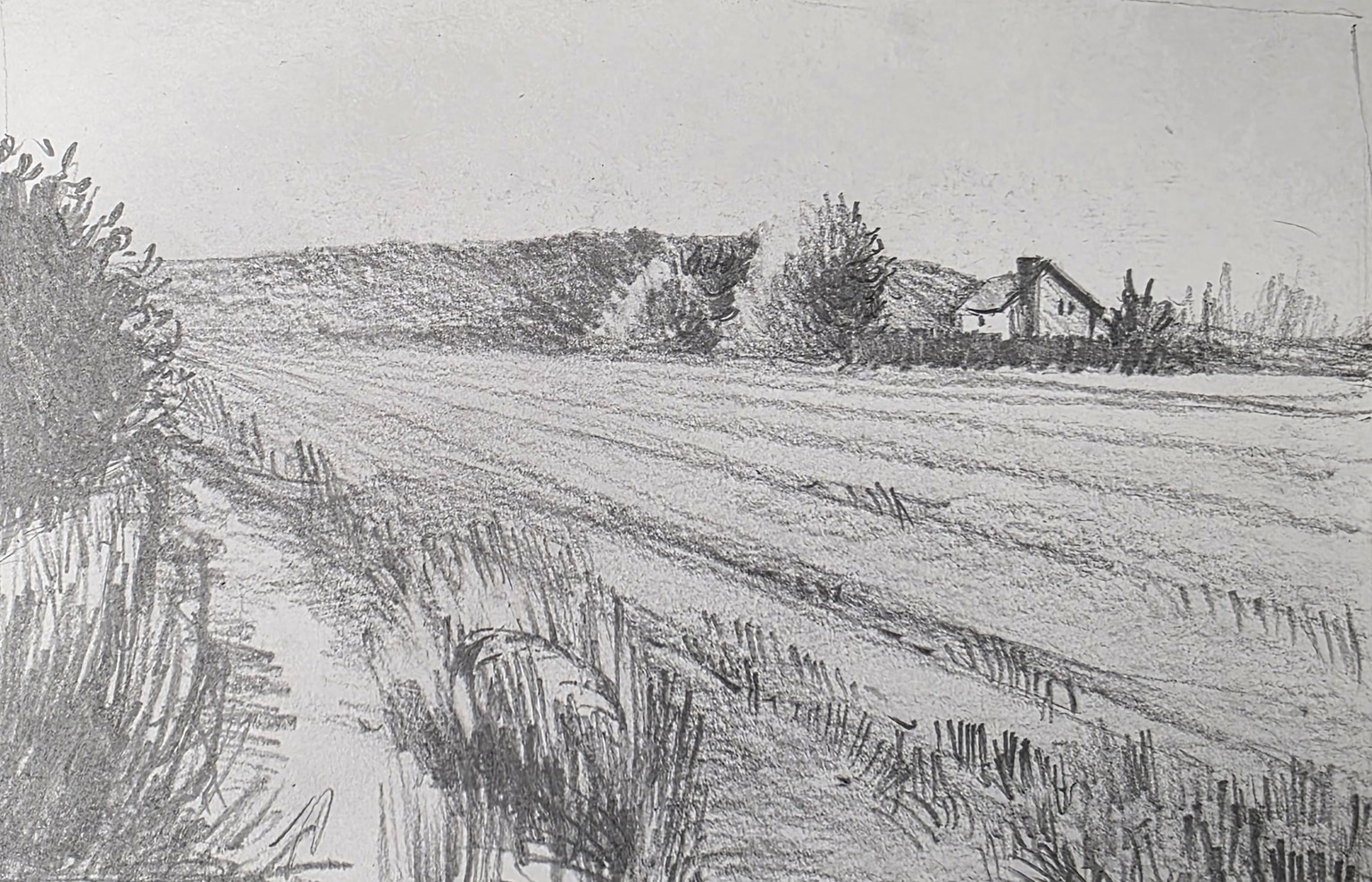 10 Days of Landscapes in Pencil - image 4 - student project