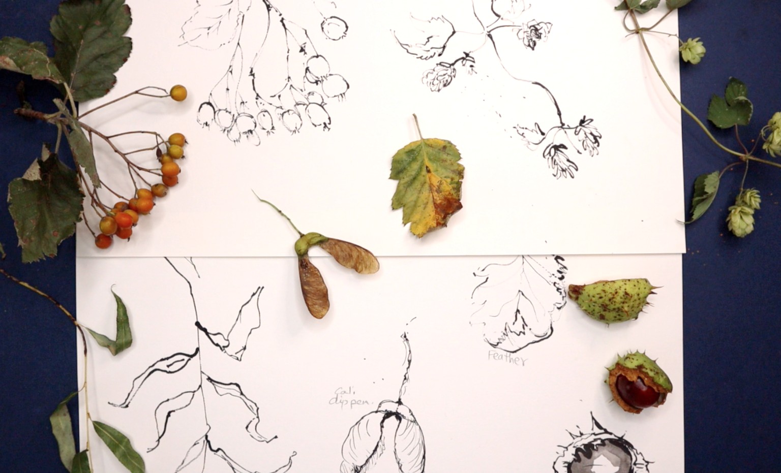 Capturing Shapes and textures using dip pen - image 3 - student project