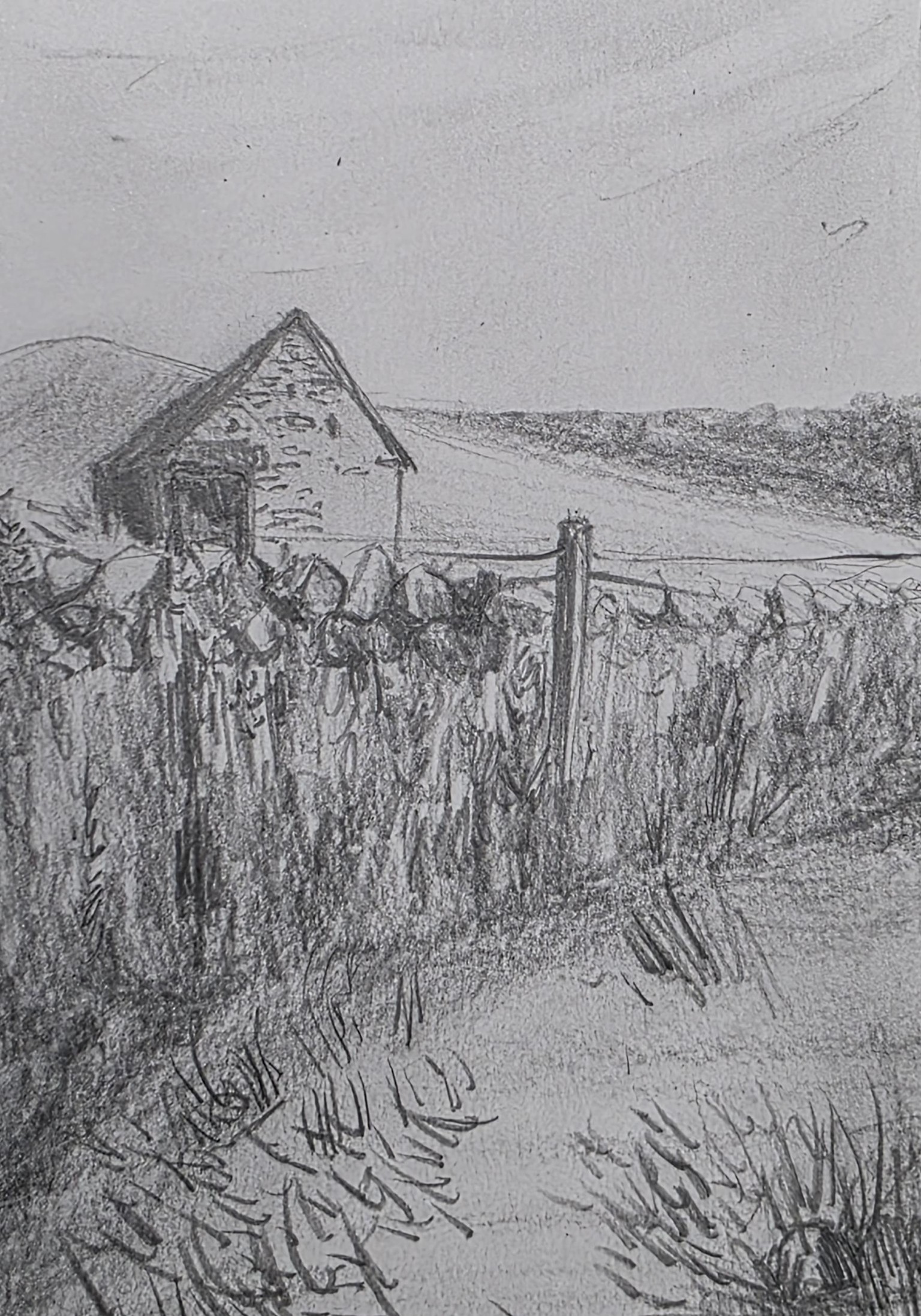 10 Days of Landscapes in Pencil - image 8 - student project