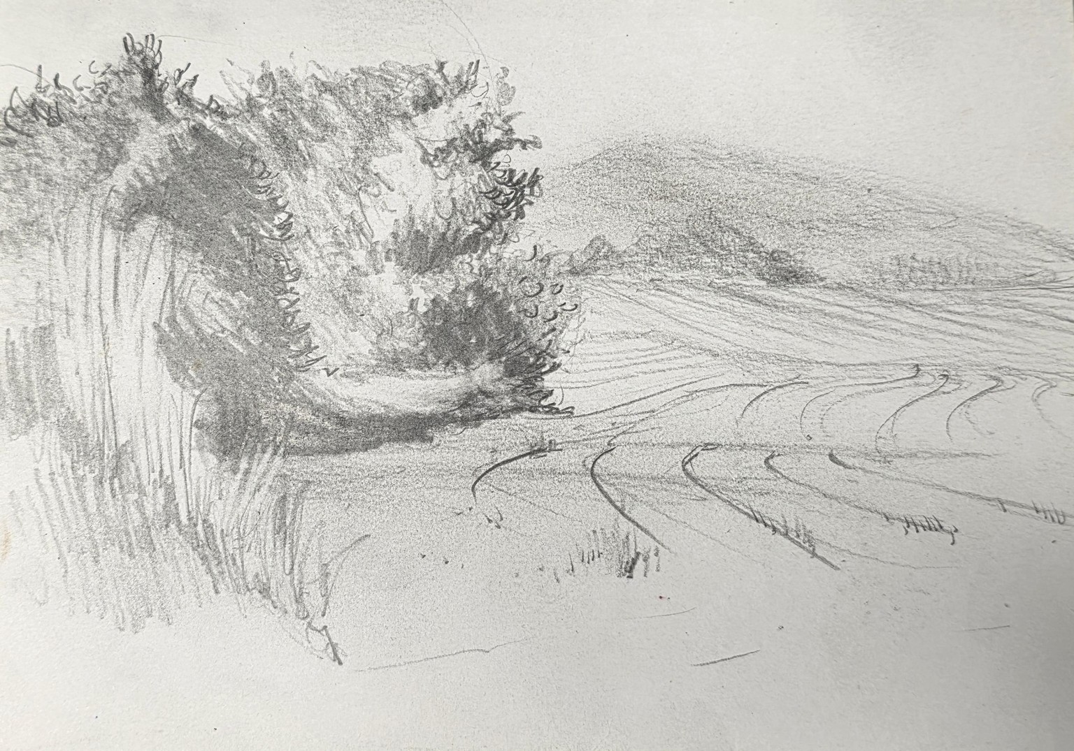 10 Days of Landscapes in Pencil - image 2 - student project