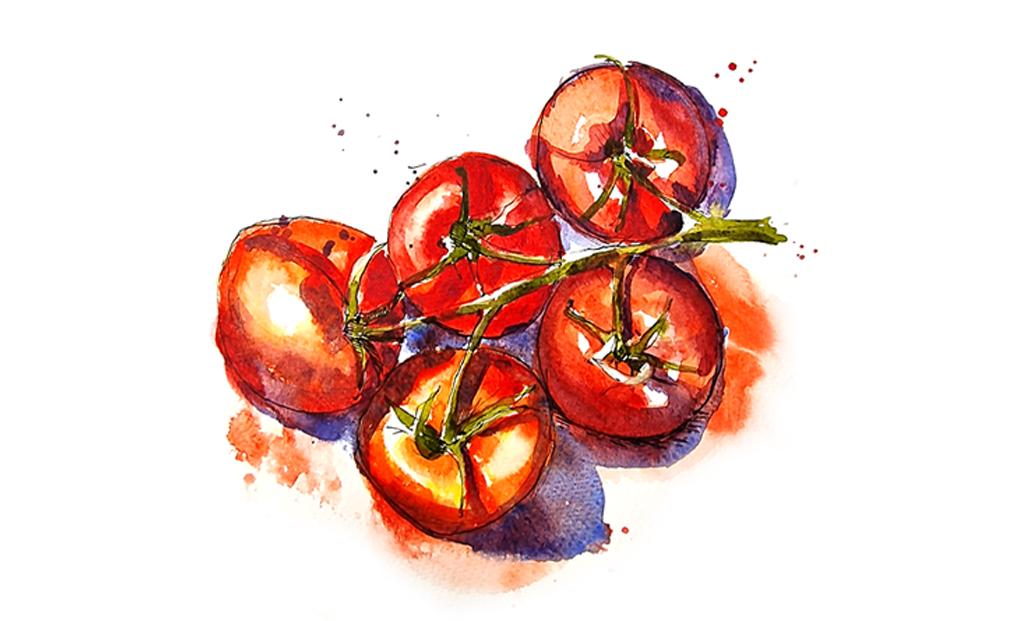 Sketching Fruits and Veggies using Watercolour and Pen - image 1 - student project
