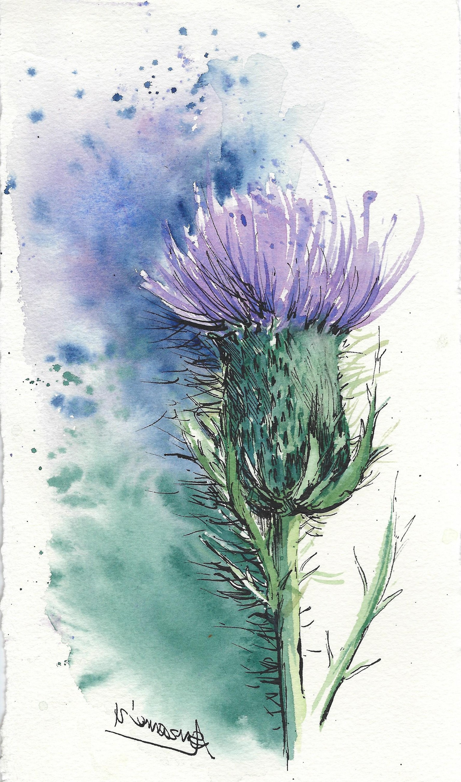 Dynamic Florals in watercolour and pen - image 2 - student project