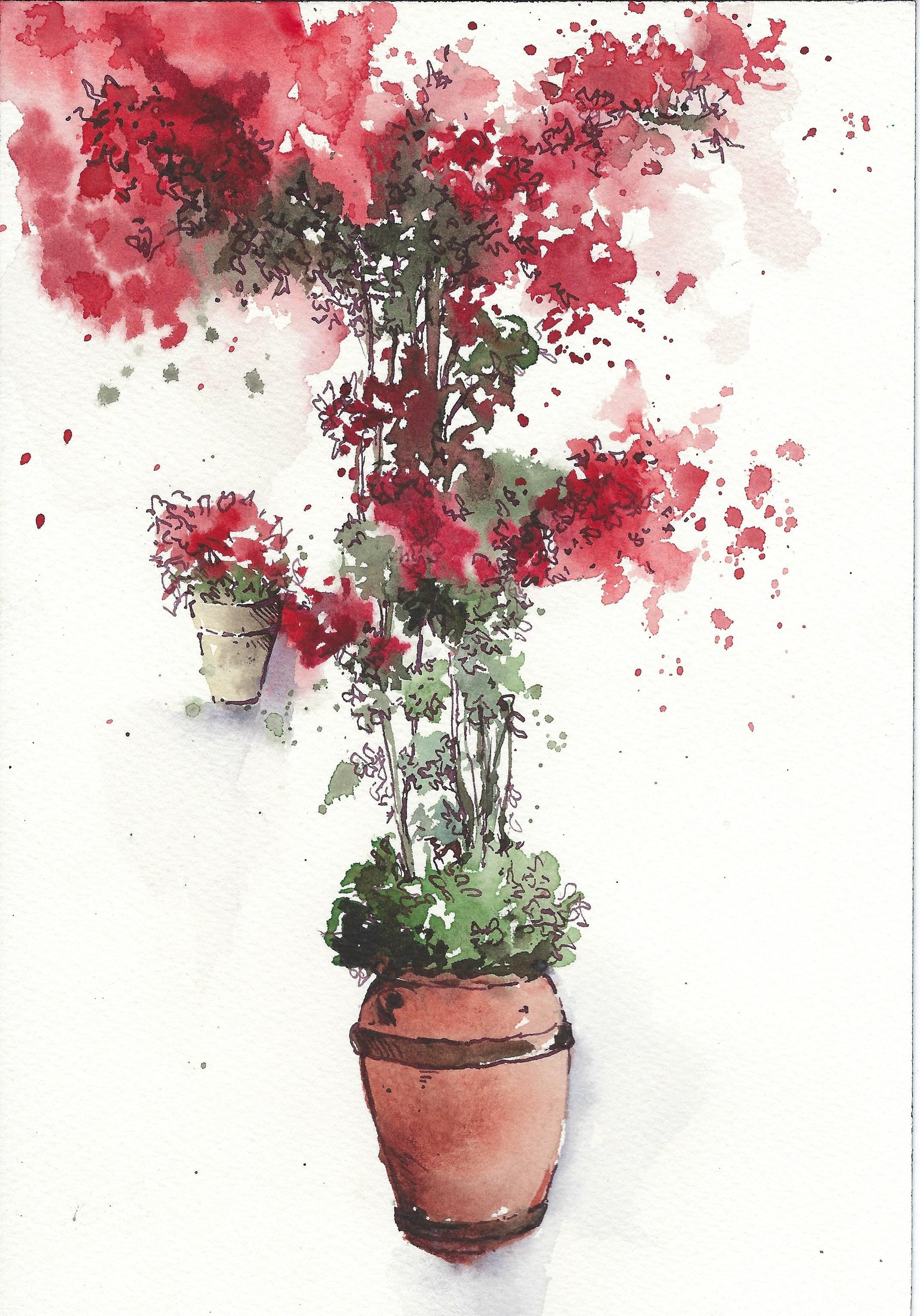 Dynamic Florals in watercolour and pen - image 1 - student project