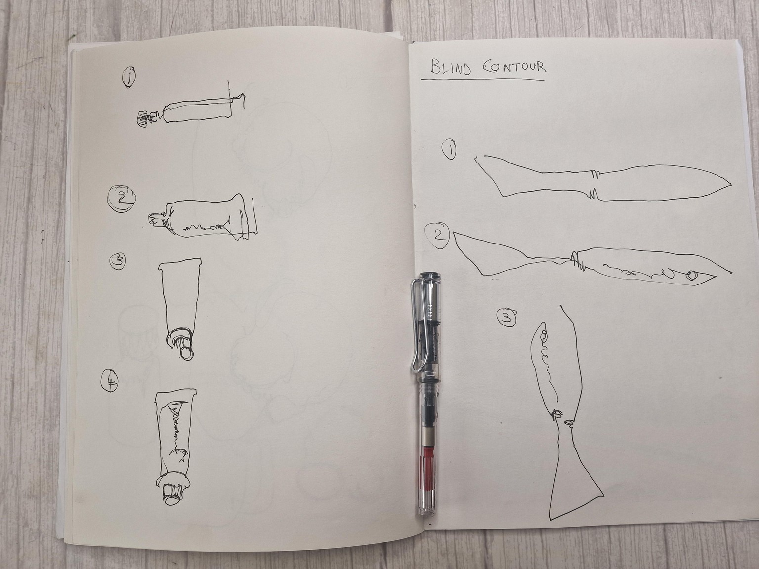 Sketches From A Daily Routine Of Sketching Daily - image 2 - student project
