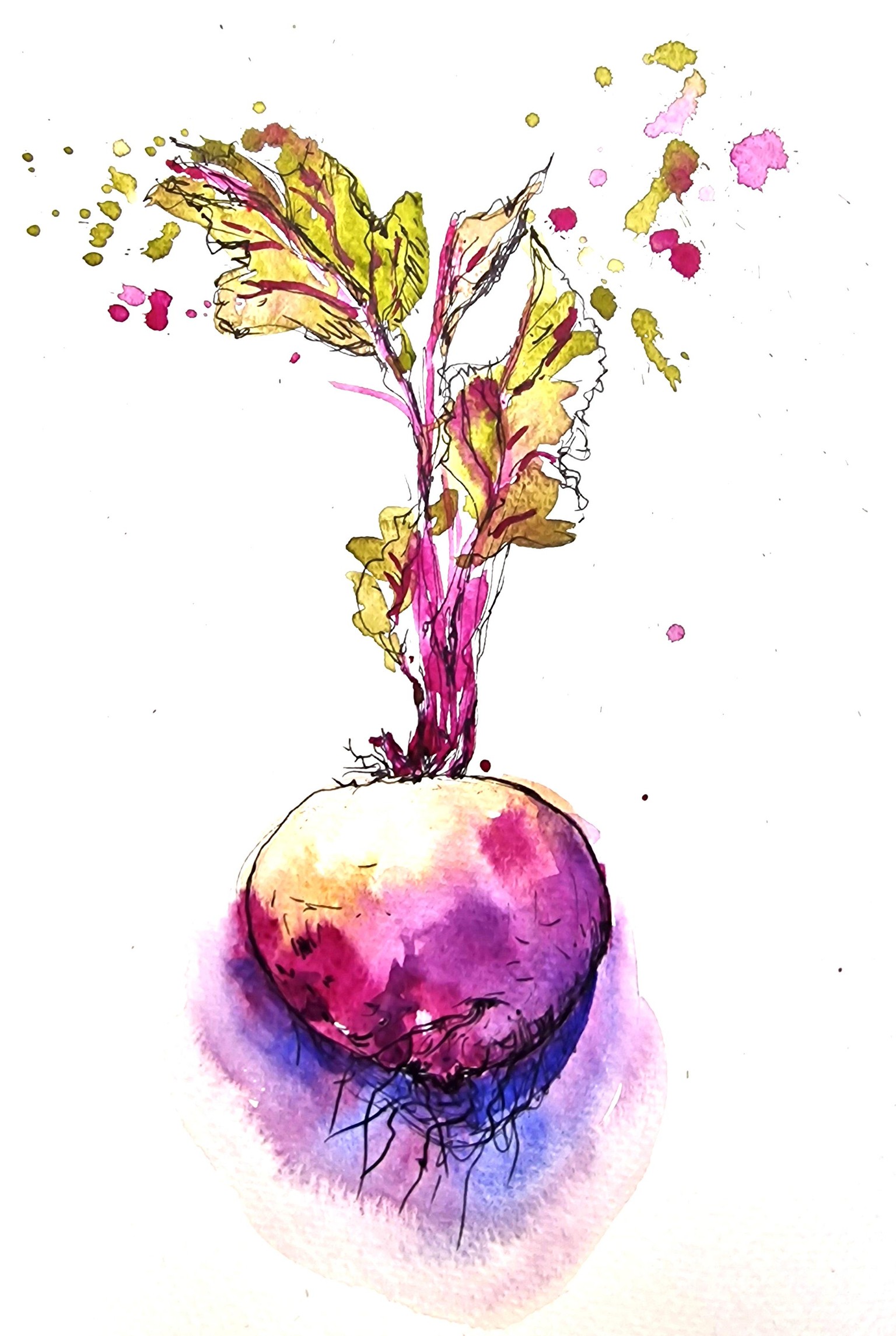 Sketching Fruits and Veggies using Watercolour and Pen - image 3 - student project