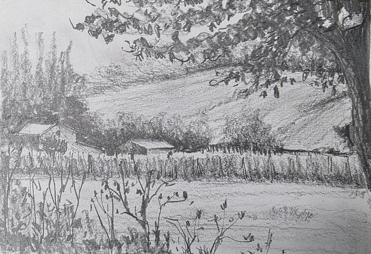 10 Days of Landscapes in Pencil - image 6 - student project