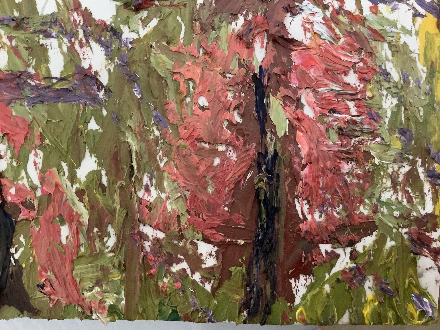 Color wheel - image 2 - student project