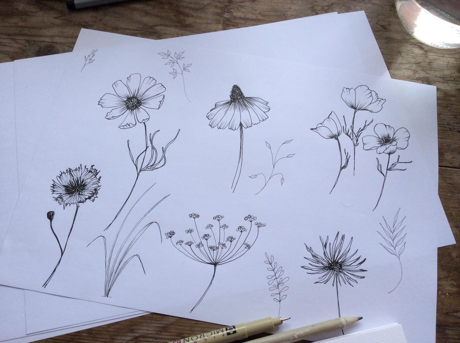 Ink wild flowers - image 1 - student project