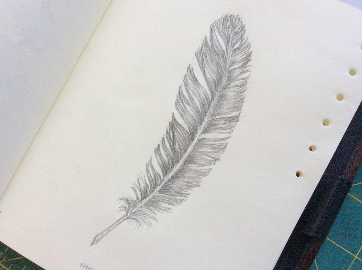 Pencil study | feather & Watercolor abstract painting - image 1 - student project