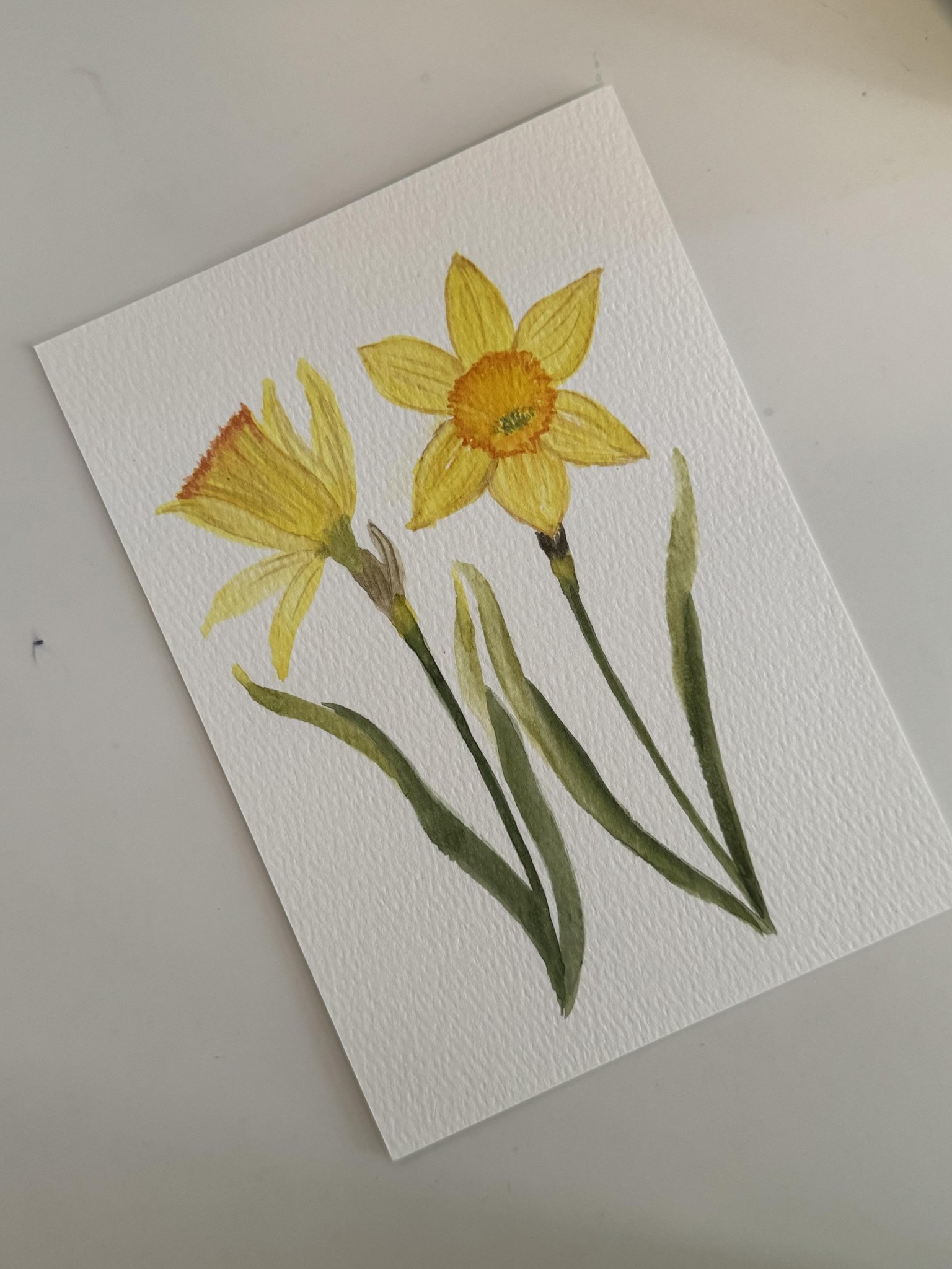 Drawing from reference - image 8 - student project