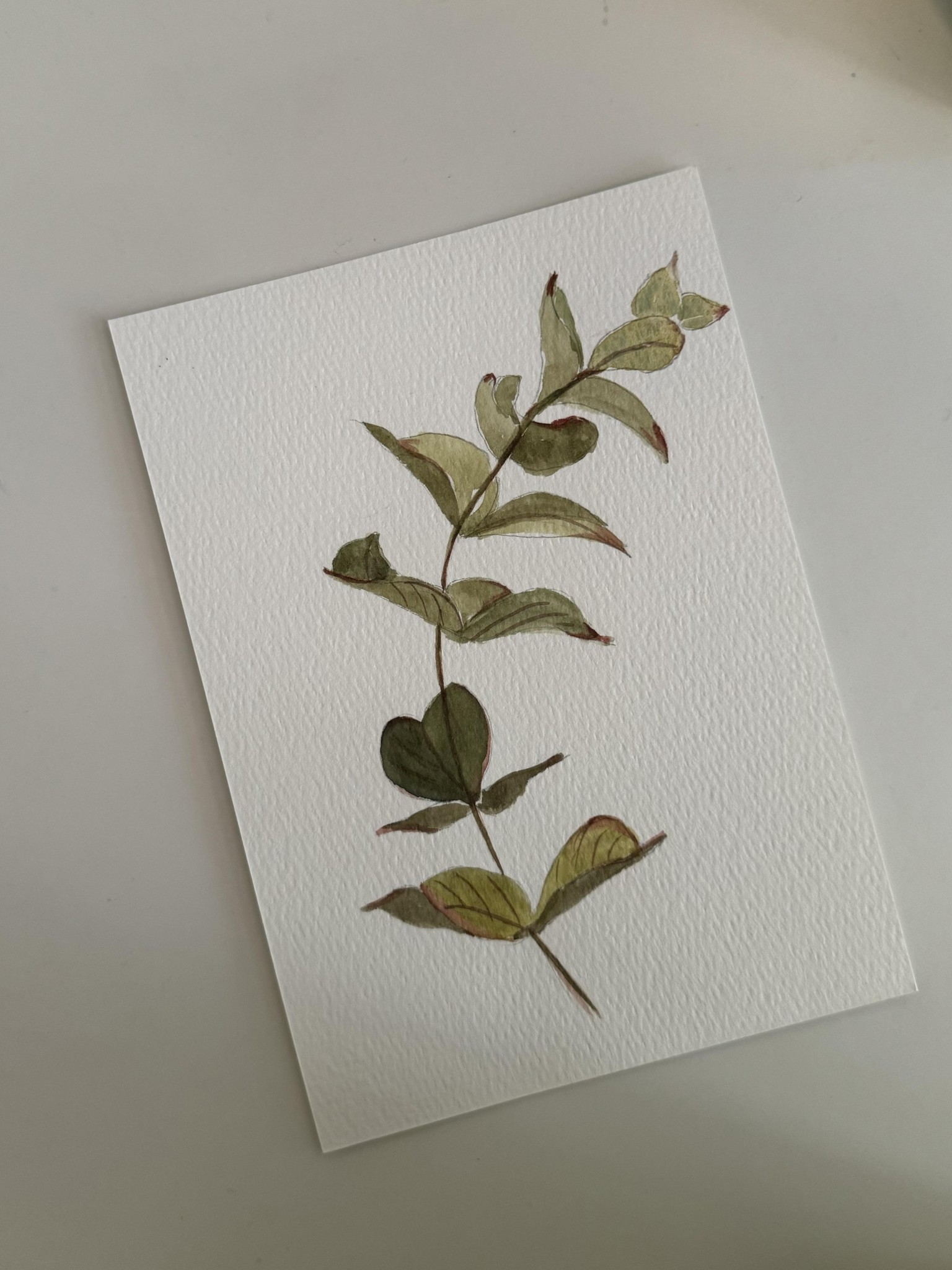 Drawing from reference - image 9 - student project