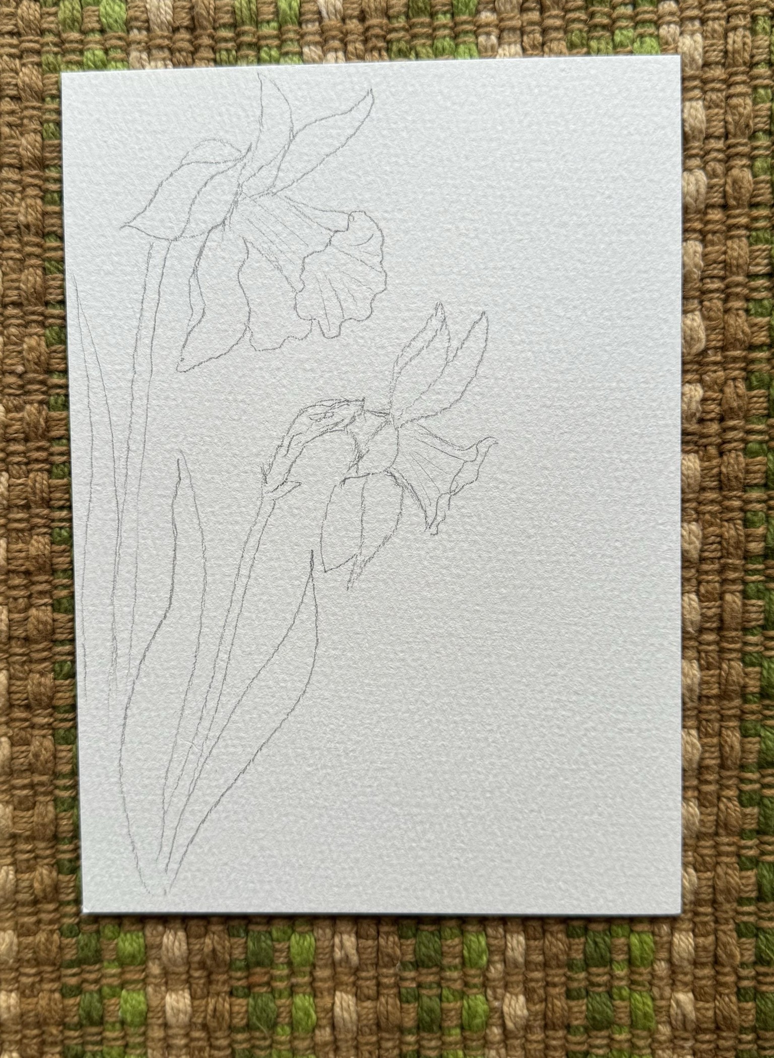 Drawing from reference - image 5 - student project