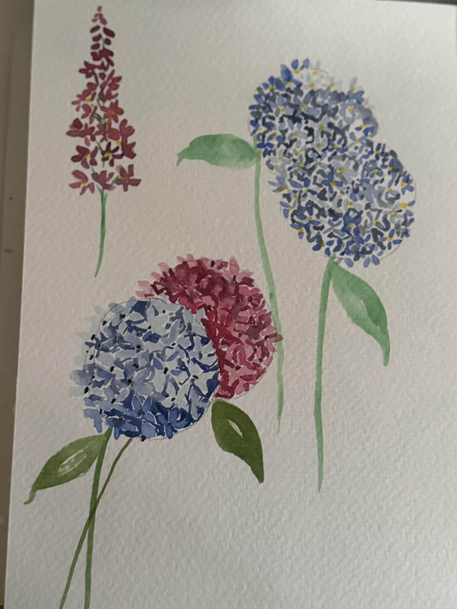 Loose water colours florals - image 2 - student project