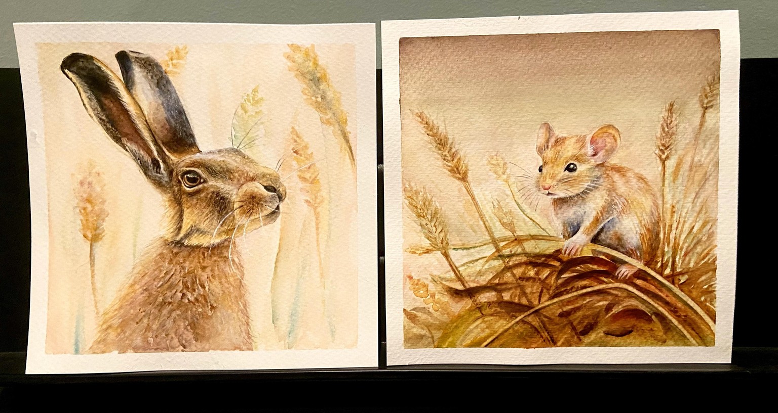 Field Mouse - image 2 - student project