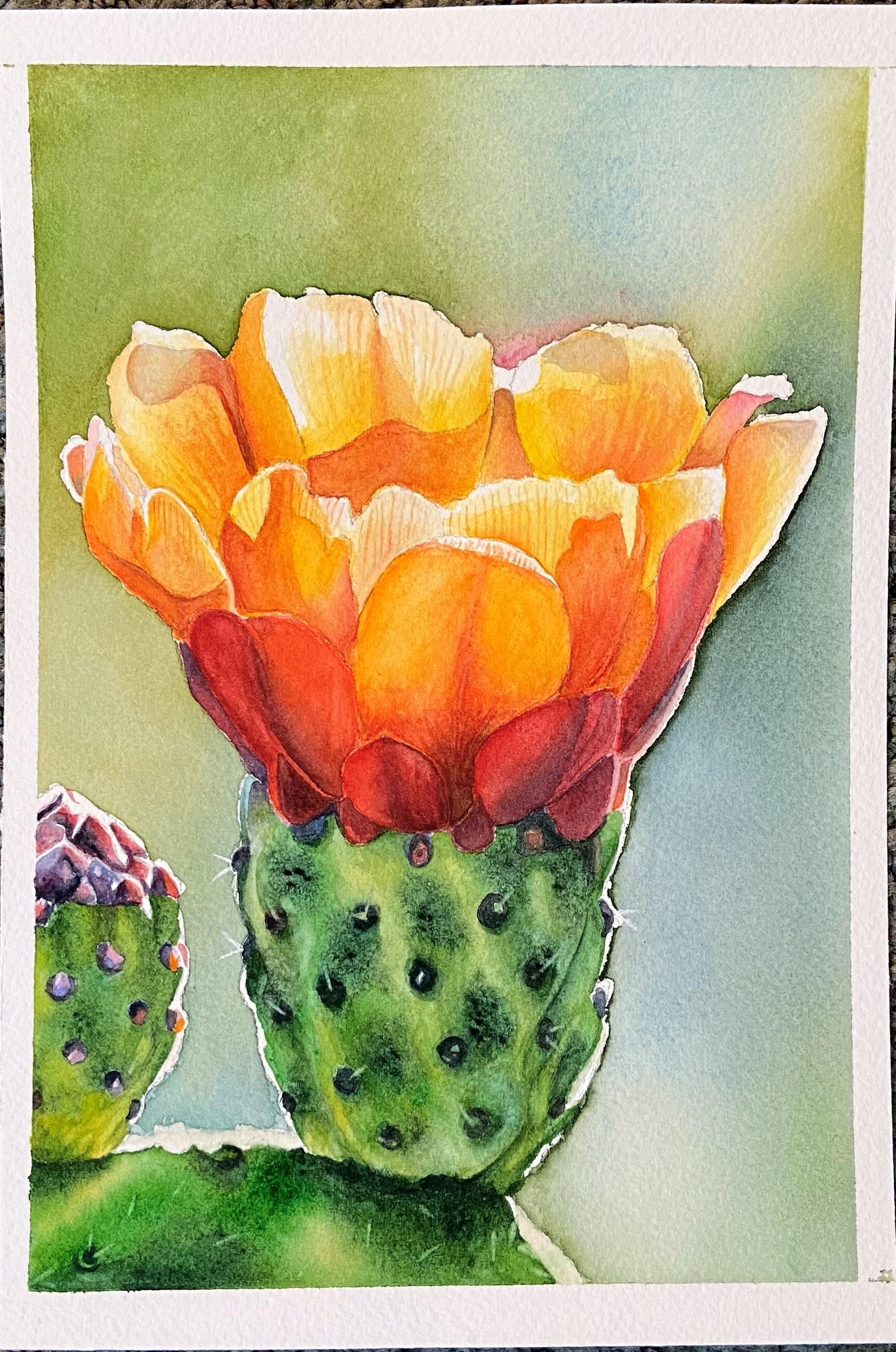 Opuntia Flower in Watercolor - image 2 - student project