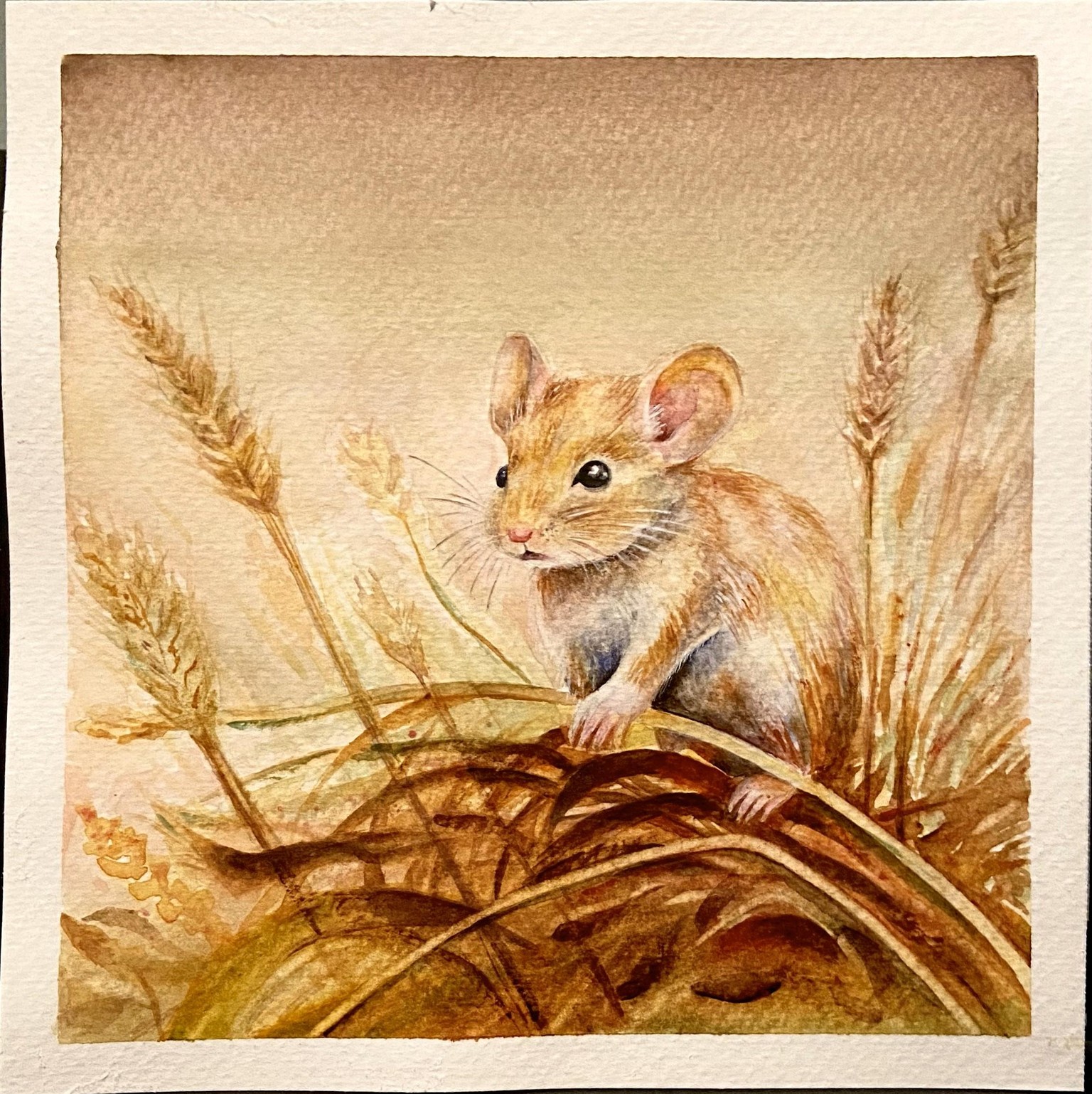 Field Mouse - image 1 - student project