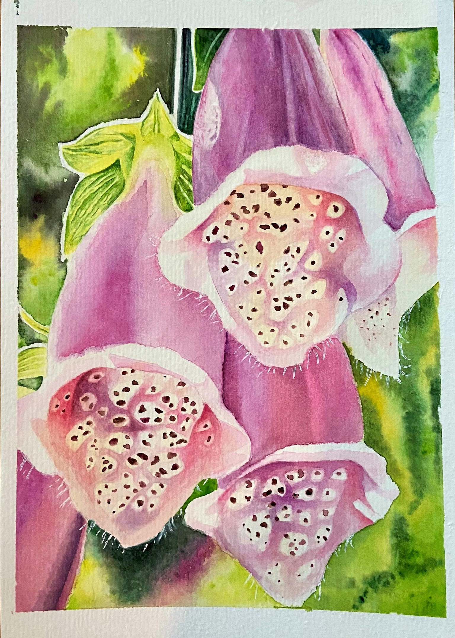Watercolor Foxglove - image 2 - student project