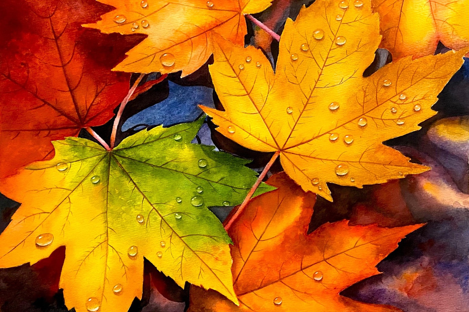 Maple leaves - image 2 - student project