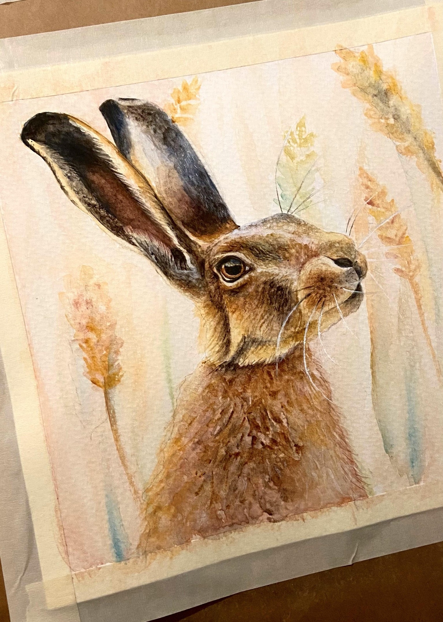 Watercolor hare - image 1 - student project