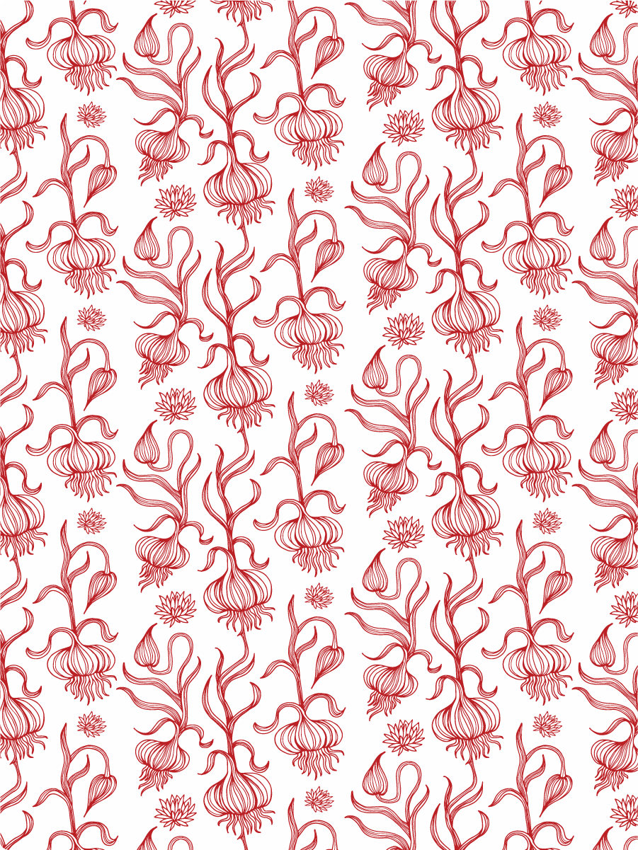 Garlic - image 1 - student project